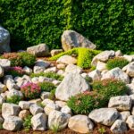 Jak zrobić skalniak w ogrodzie – wybór roślin i układanie kamieni Jak zrobić skalniak w ogrodzie