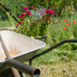 Kiedy robić porządki w ogrodzie?